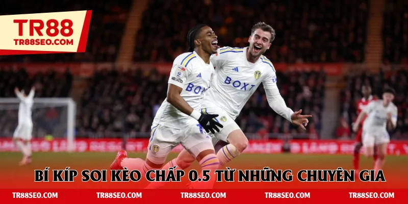 Bí kíp soi hiệu quả kèo chấp 0.5 từ những chuyên gia