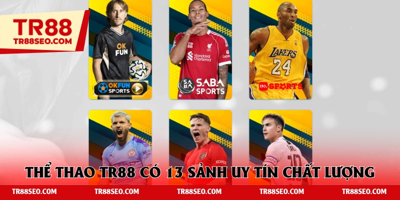 Có tới 13 sảnh tại thể thao TR88