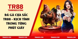 đá gà cựa sắt tr88