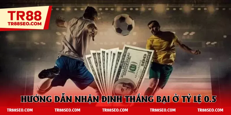 Hướng dẫn nhận định thắng bại ở tỷ lệ 0.5