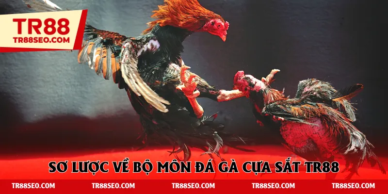 Sơ lược về bộ môn đá gà cựa sắt TR88