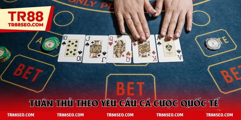 Tuân thủ theo yêu cầu cá cược quốc tế